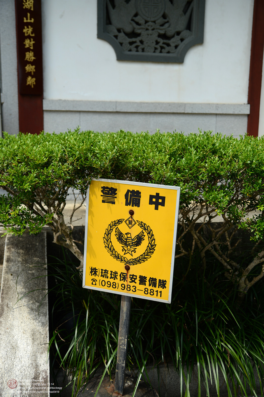 DSC_3460.jpg